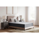  Ashley Sleep Anniversary Edition Plush M42171 Twin XL Mattress IMAGE 11
